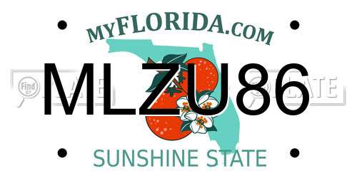 MLZU86 Florida License Plate