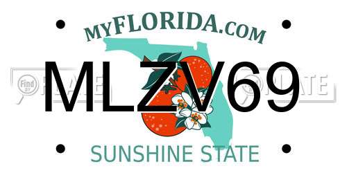 MLZV69 Florida License Plate