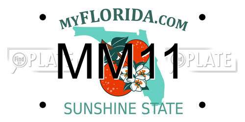 MM11 Florida License Plate
