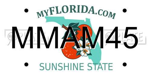 MMAM45 Florida License Plate