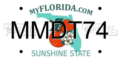 MMDT74 Florida License Plate