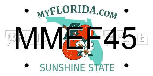 MMEF45 Florida License Plate