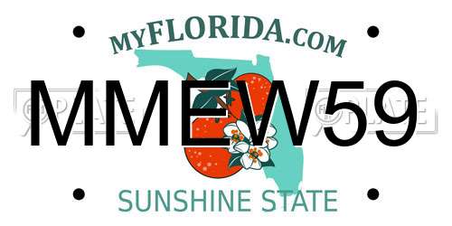 MMEW59 Florida License Plate