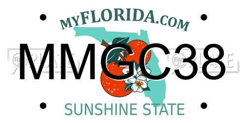 MMGC38 Florida License Plate