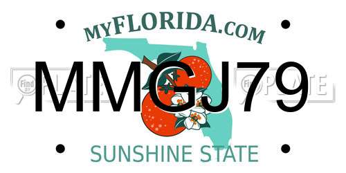 MMGJ79 Florida License Plate