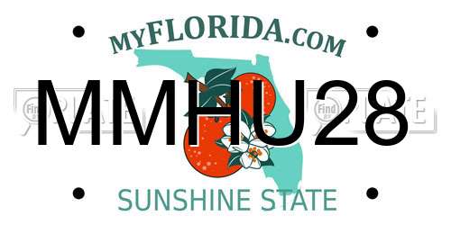 MMHU28 Florida License Plate