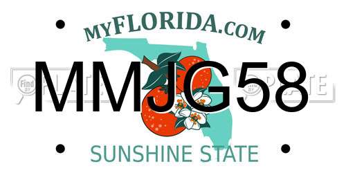 MMJG58 Florida License Plate