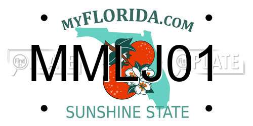 MMLJ01 Florida License Plate