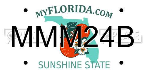 MMM24B Florida License Plate