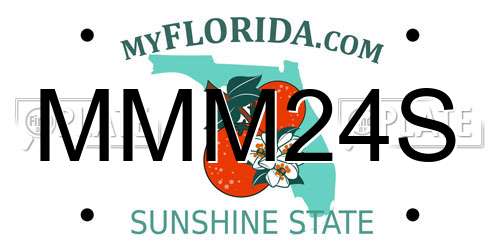 MMM24S Florida License Plate