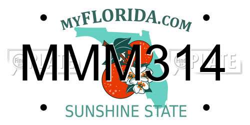 MMM314 Florida License Plate