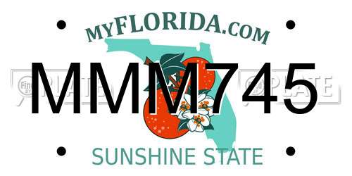 MMM745 Florida License Plate