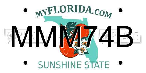 MMM74B Florida License Plate