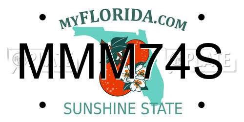 MMM74S Florida License Plate