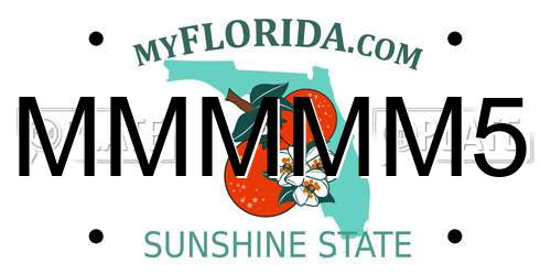 MMMMM5 Florida License Plate
