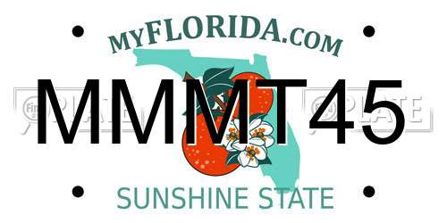 MMMT45 Florida License Plate
