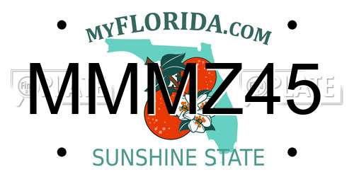 MMMZ45 Florida License Plate