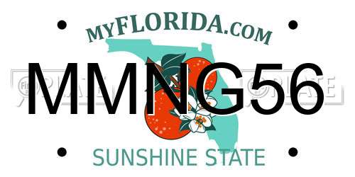 MMNG56 Florida License Plate