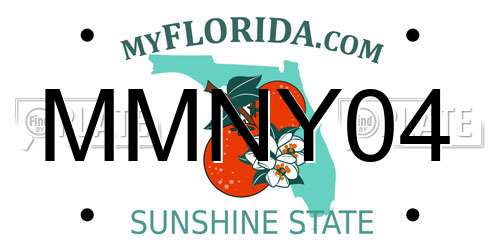MMNY04 Florida License Plate
