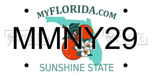 MMNY29 Florida License Plate