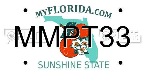 MMPT33 Florida License Plate