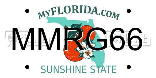 MMRG66 Florida License Plate