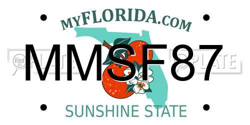 MMSF87 Florida License Plate