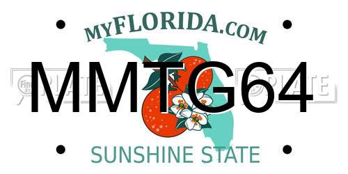 MMTG64 Florida License Plate