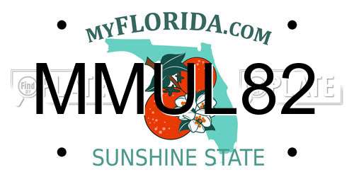 MMUL82 Florida License Plate