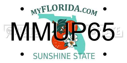 MMUP65 Florida License Plate