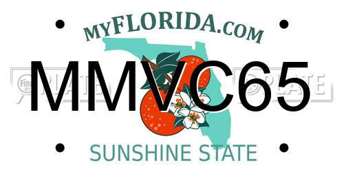 MMVC65 Florida License Plate