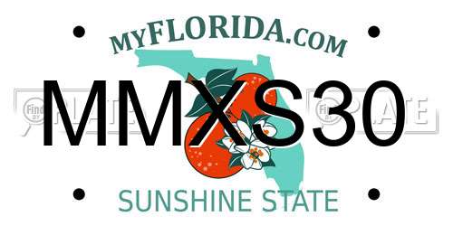 MMXS30 Florida License Plate