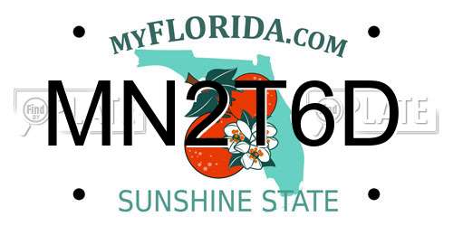 MN2T6D Florida License Plate
