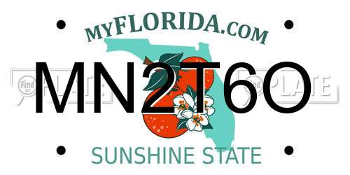 MN2T6O Florida License Plate