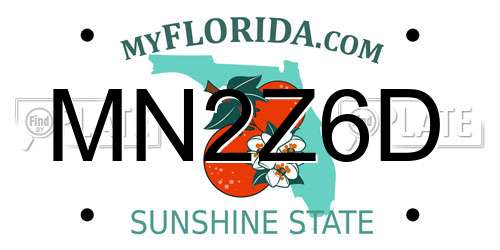 MN2Z6D Florida License Plate