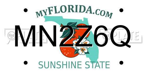 MN2Z6Q Florida License Plate