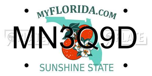 MN3Q9D Florida License Plate