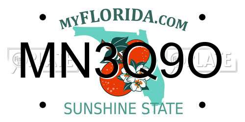 MN3Q9O Florida License Plate