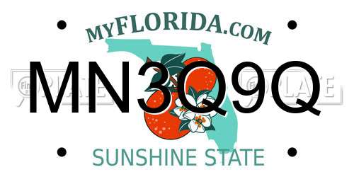 MN3Q9Q Florida License Plate