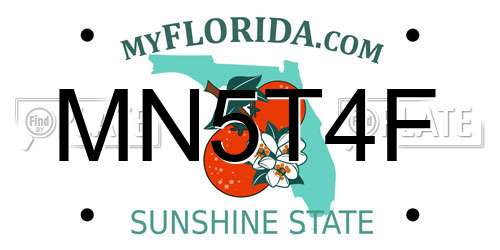 MN5T4F Florida License Plate