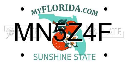 MN5Z4F Florida License Plate