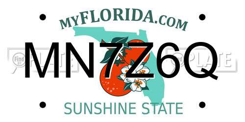 MN7Z6Q Florida License Plate