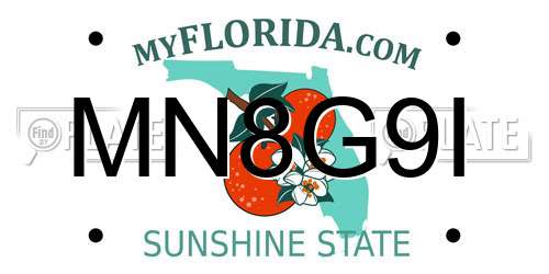 MN8G9I Florida License Plate