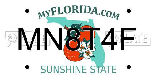 MN8T4F Florida License Plate