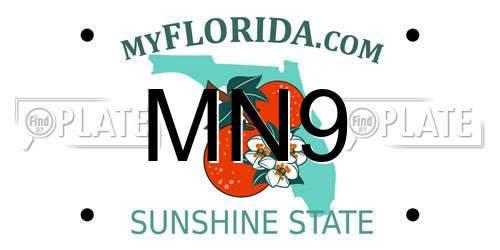 MN9 Florida License Plate