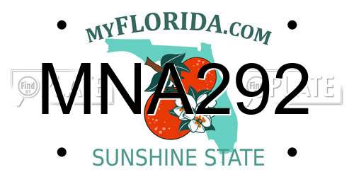 MNA292 Florida License Plate