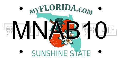 MNAB10 Florida License Plate