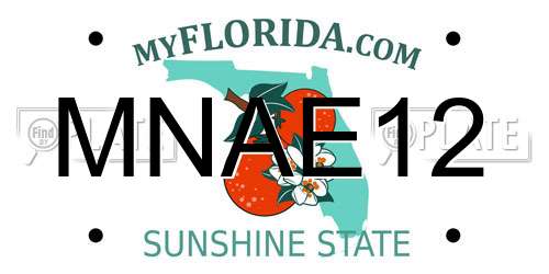 MNAE12 Florida License Plate