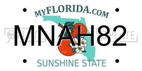 MNAH82 Florida License Plate