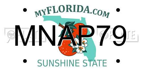 MNAP79 Florida License Plate